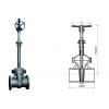 goods-294--TCI+Other+products-Class+150%7E600Lb+Bellows+Gate+Valve.html