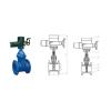 goods-297--TCI+Other+products-RVEX+electric+resilient+seated+gate+valve.html