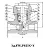 goods-307--TCI+Other+products-pressure-seal+Swing+Check+Valve+900Lb%7E2500Lb.html