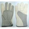 goods-415--TCI+Other+products-Cowhide+driver+glove.html