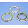 goods-475--TCI+Other+products-vortex+spiral+wound+gasket.html