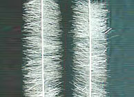 Elastic filler