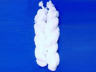 Fiber bundle